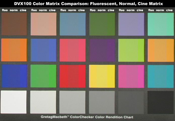 DVX100 Matrix Comparison